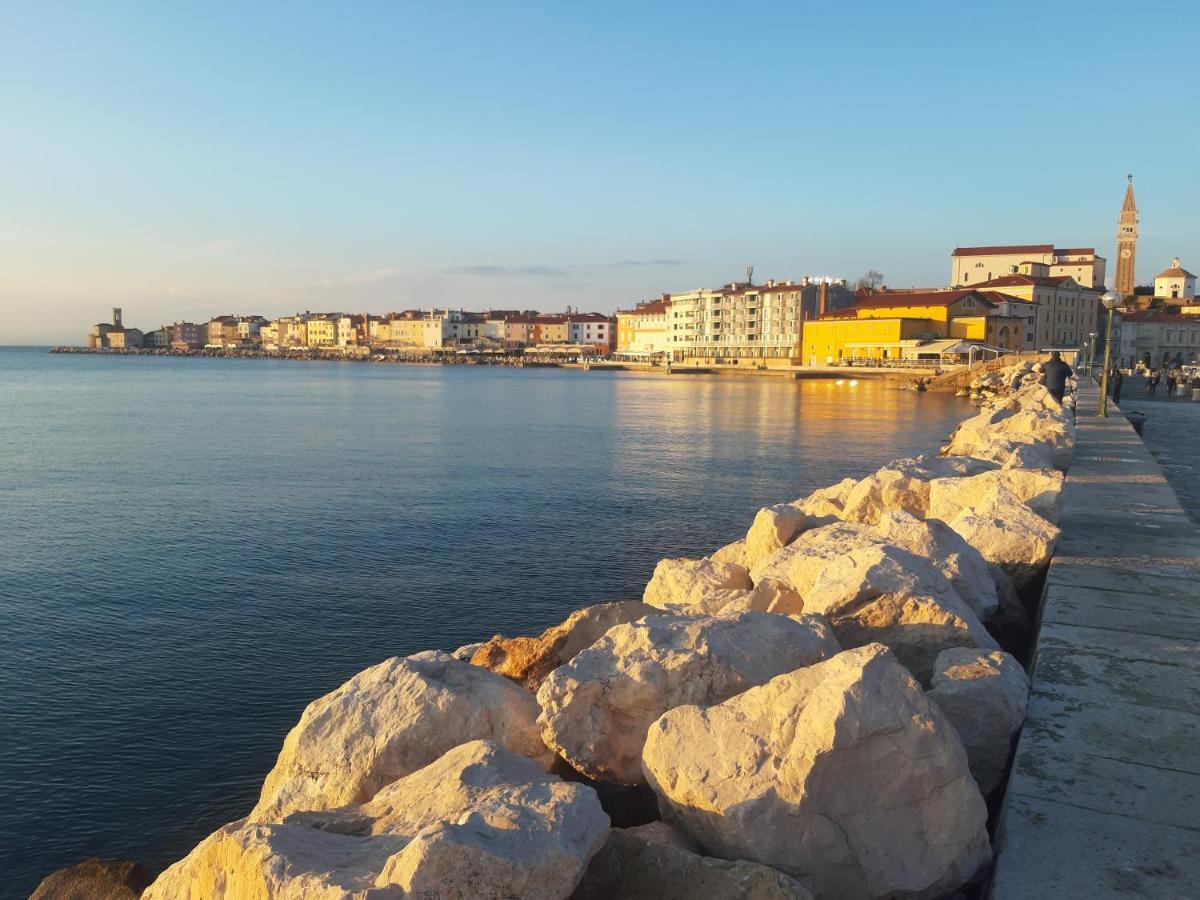 Appartamento Apartma Luna